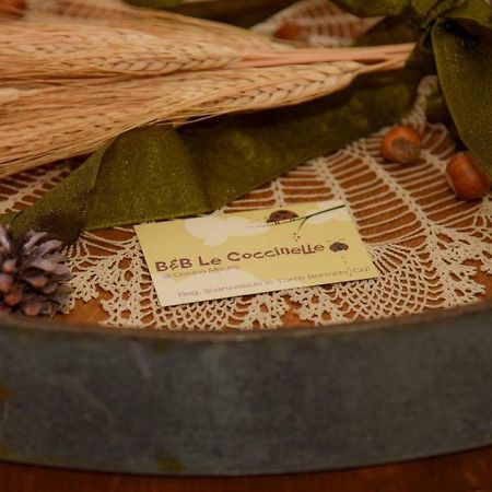 B&B Le Coccinelle Torre Bormida Kültér fotó