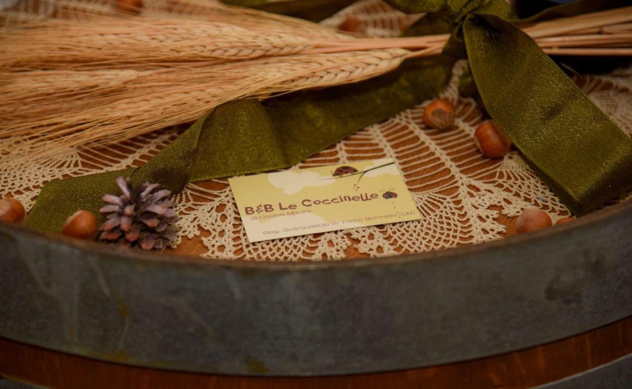 B&B Le Coccinelle Torre Bormida Kültér fotó